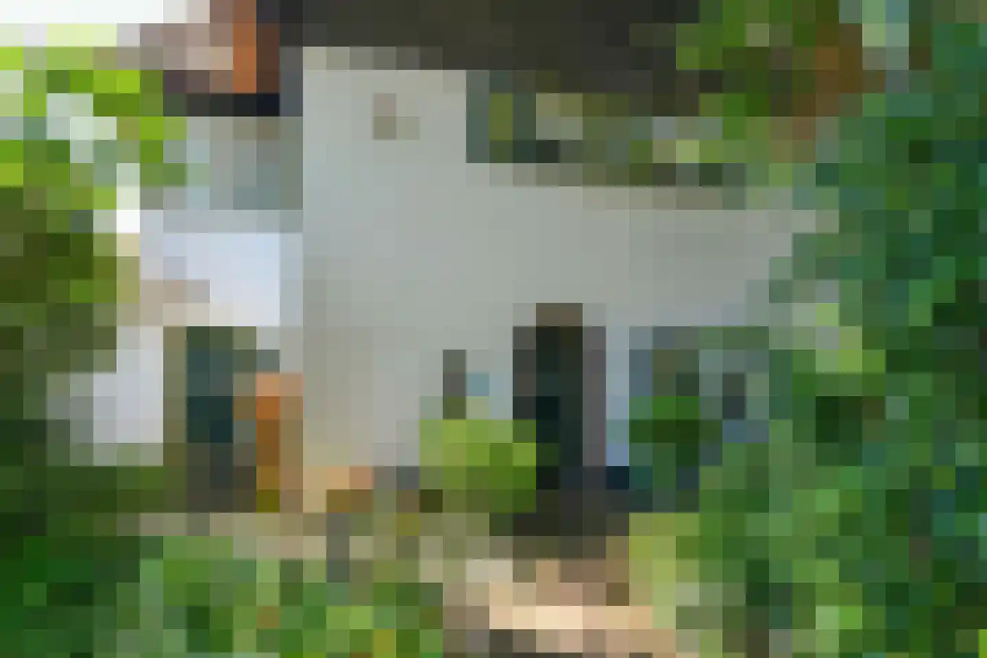 Van Ruisdaelstraat 35 Arnhem thumbnail 7