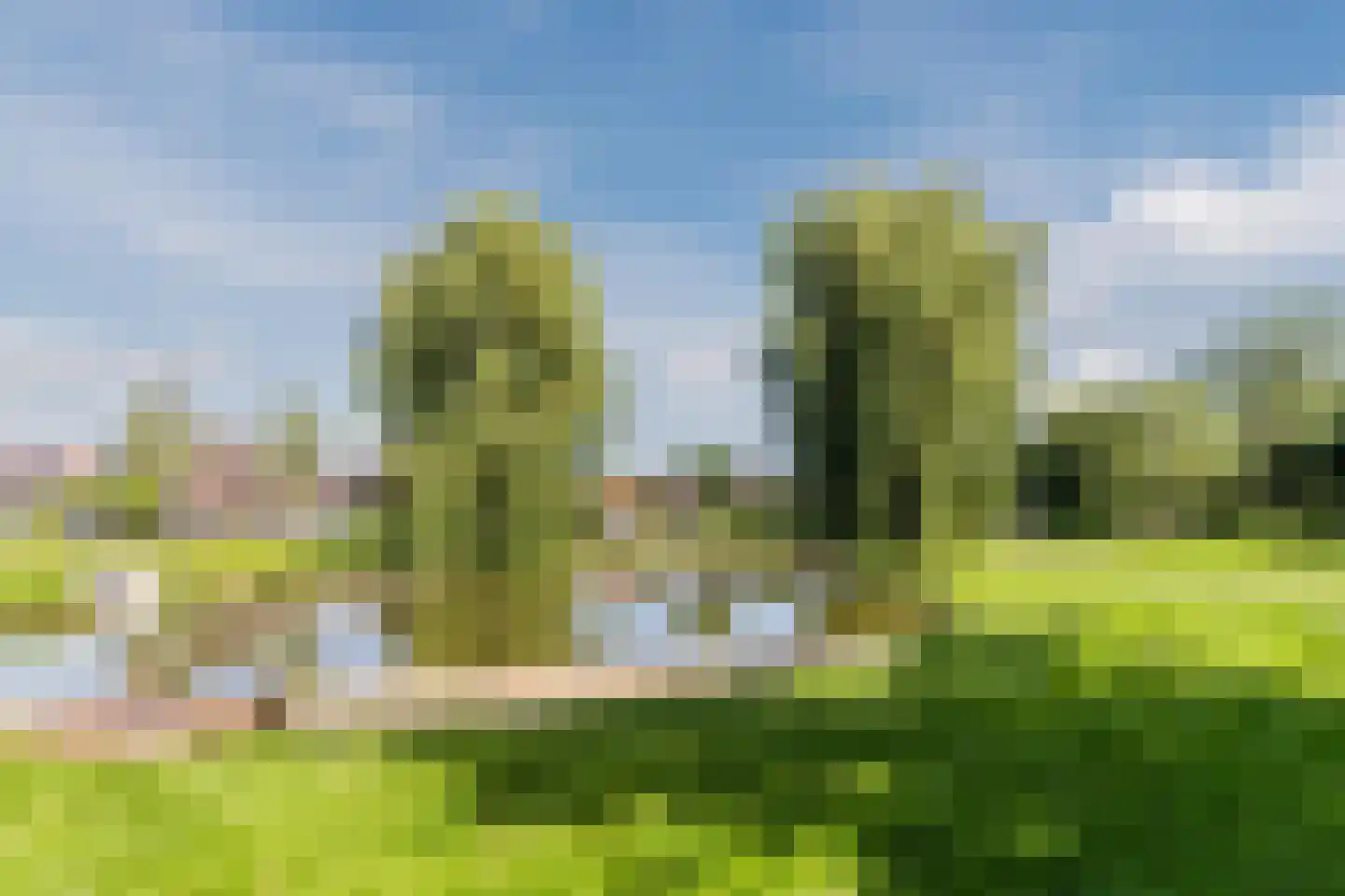 van Ruisdaelstraat 54 Zwijndrecht thumbnail 36