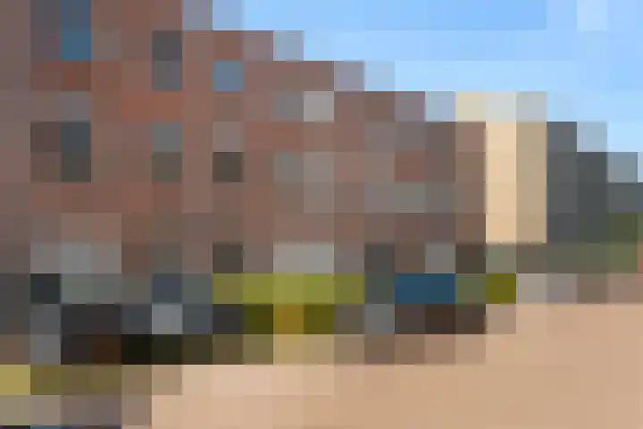 van Ruisdaelstraat 58 Zwijndrecht thumbnail 33