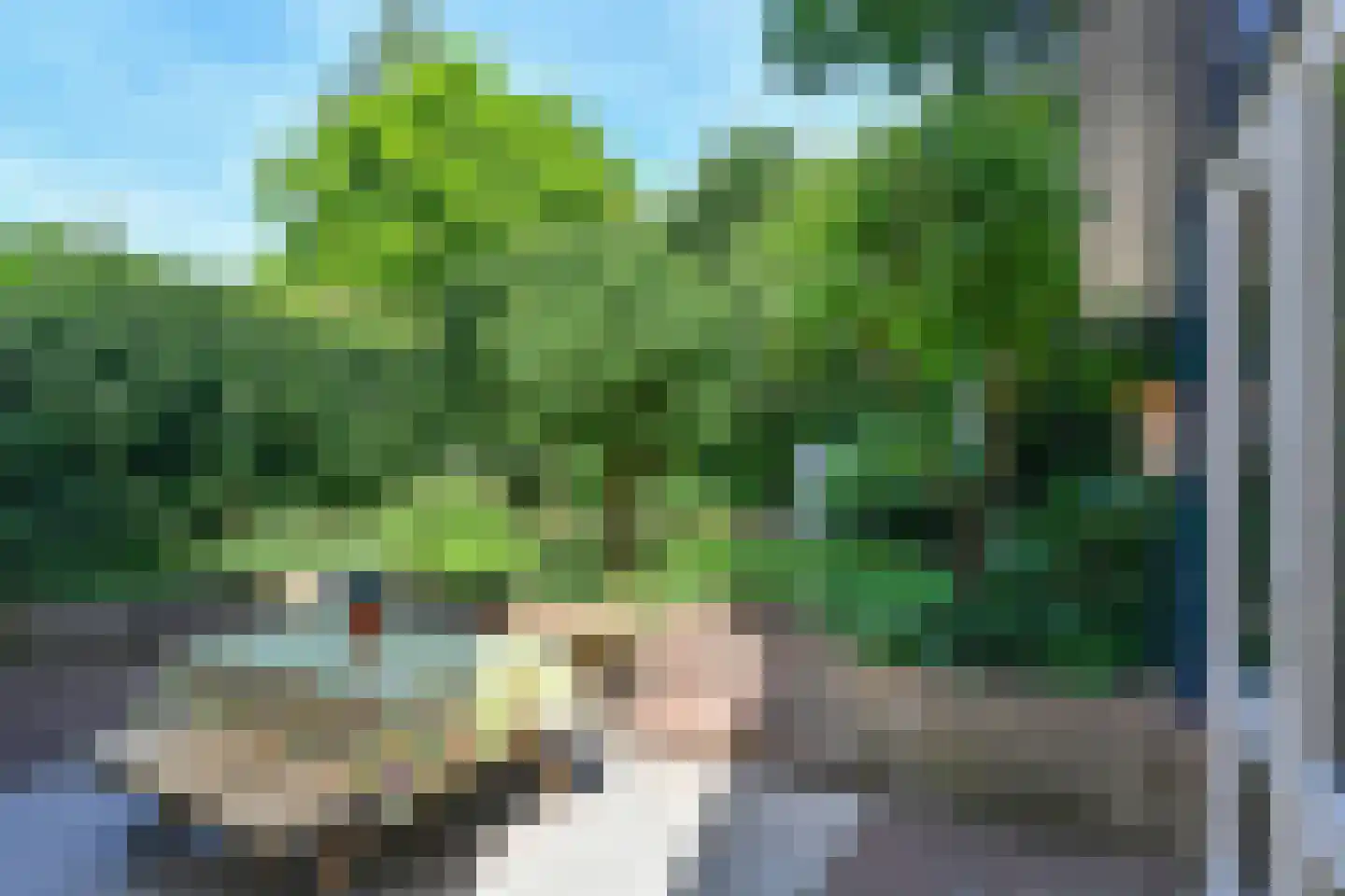 Van Ruisdaelstraat 60 Arnhem thumbnail 21