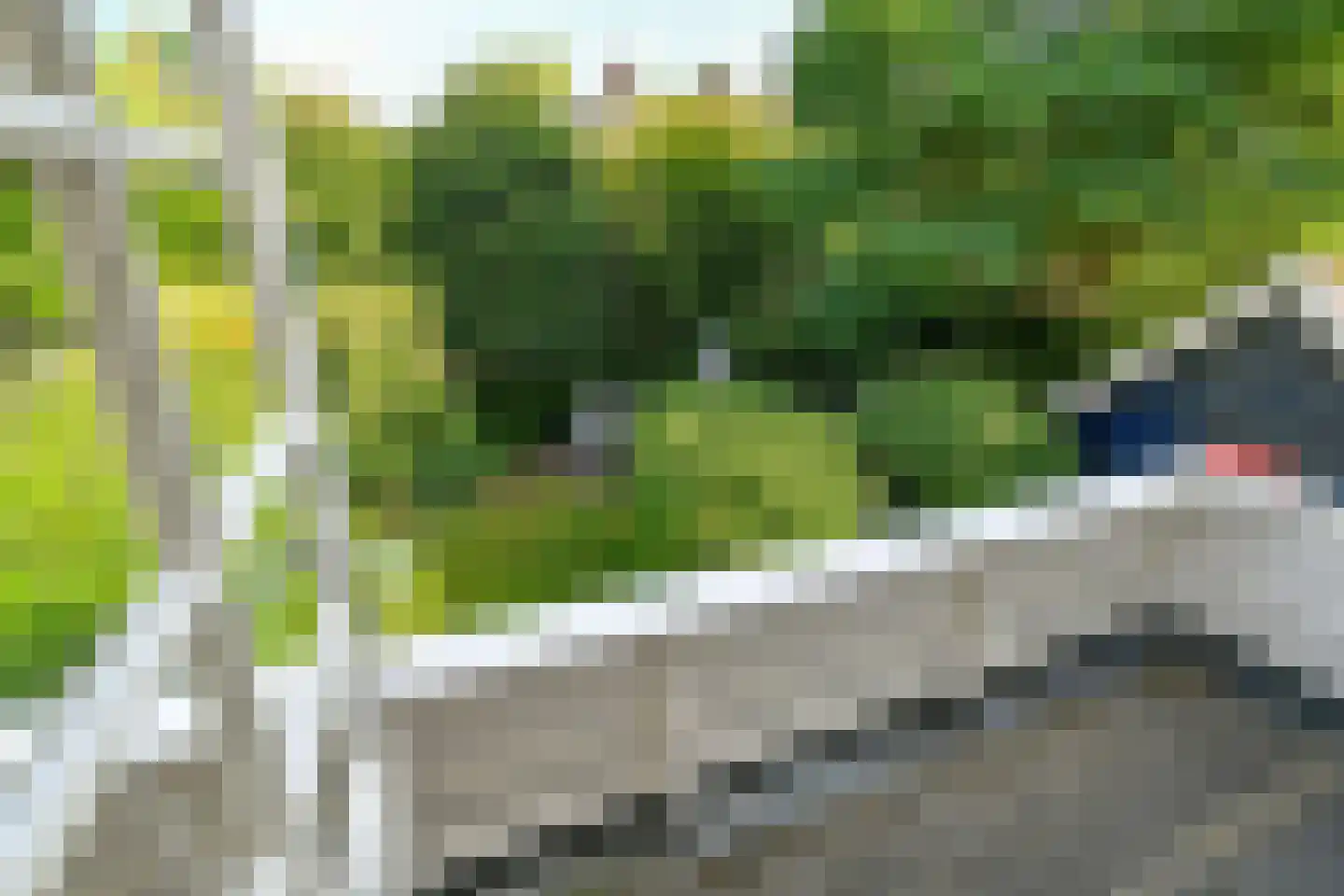 Van Ruisdaelstraat 60 Arnhem thumbnail 27