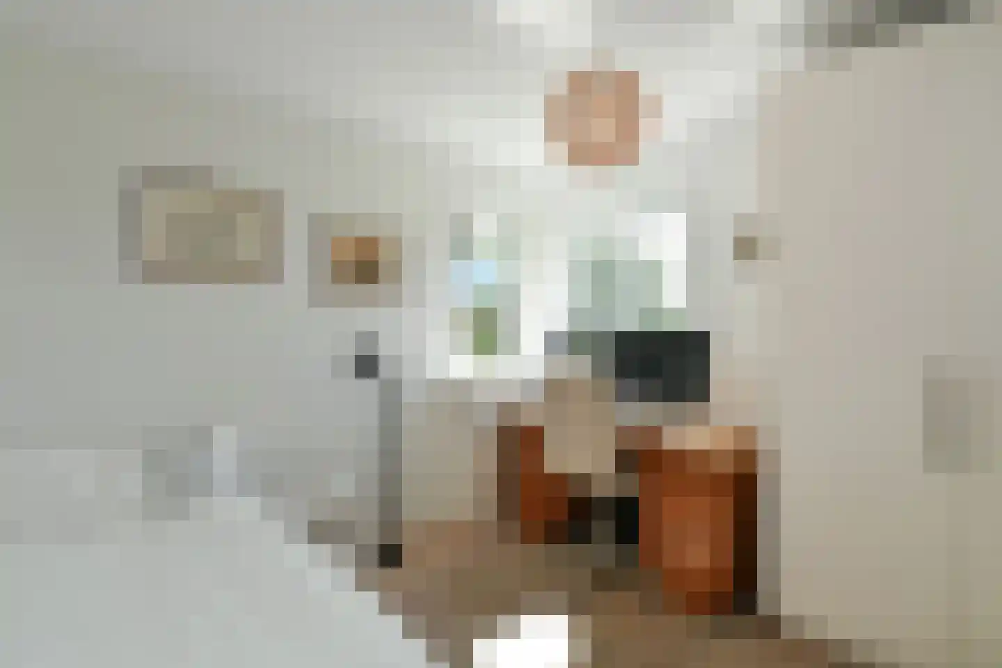 Van Ruisdaelstraat 60 Arnhem thumbnail 30