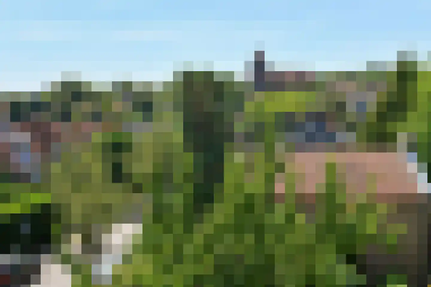 Van Ruisdaelstraat 60 Arnhem thumbnail 40