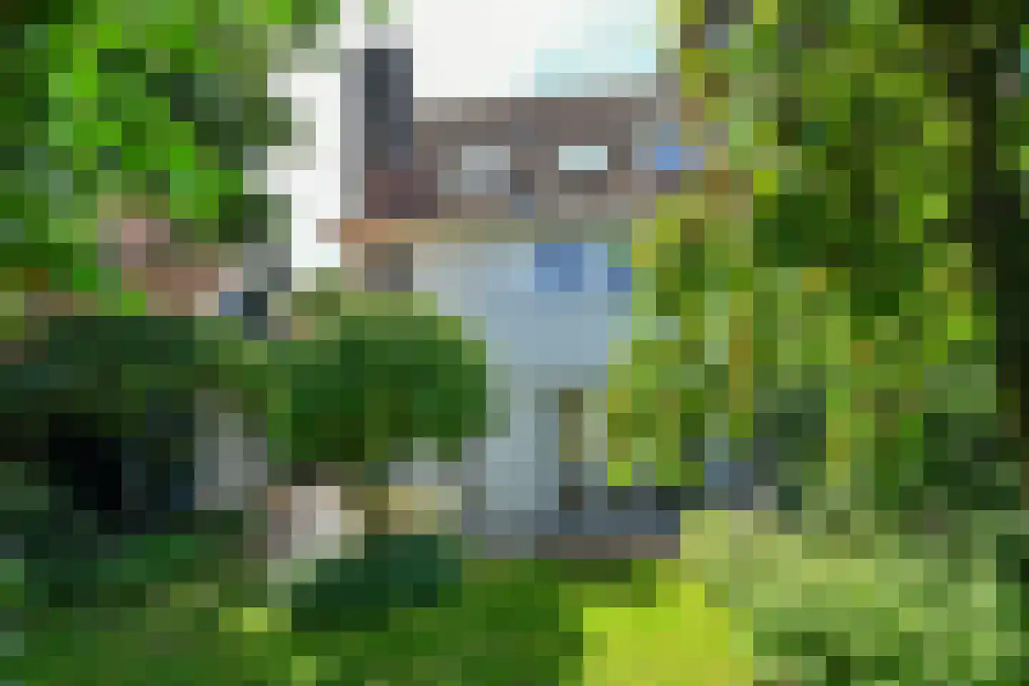 Van Ruisdaelstraat 60 Arnhem thumbnail 42