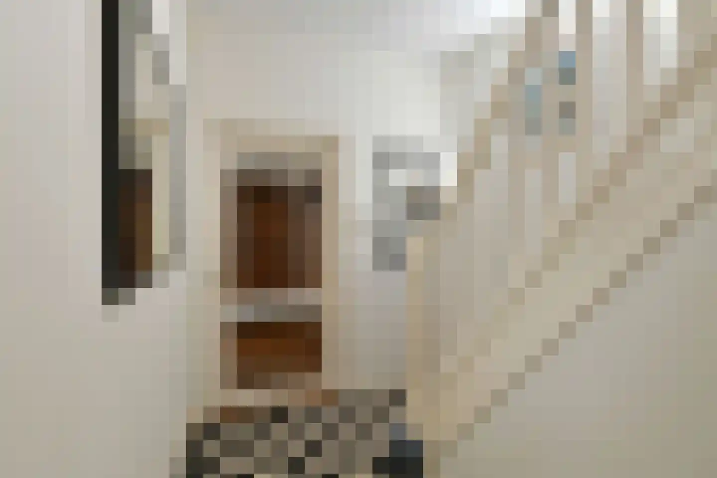 Van Ruisdaelstraat 60 Arnhem thumbnail 8