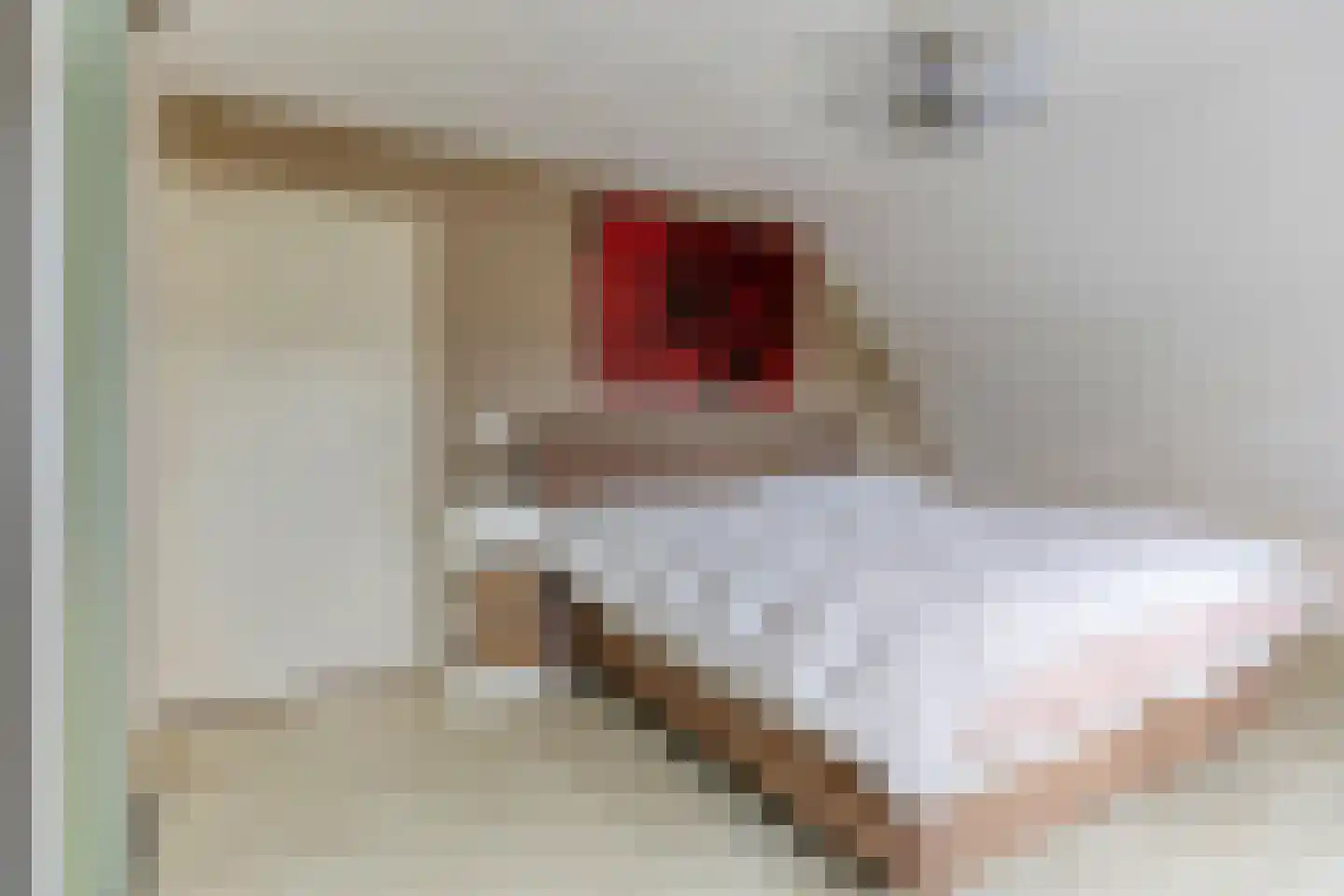 van Rummenstraat 1 Luyksgestel thumbnail 21