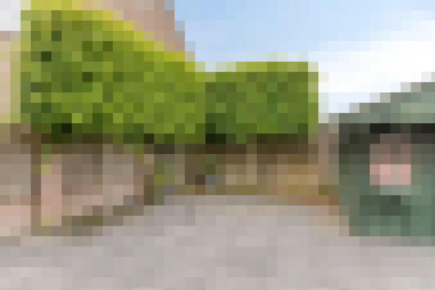 van Rummenstraat 1 Luyksgestel thumbnail 37