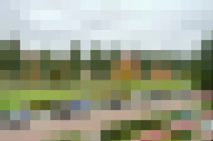 van Ruusbroeclaan 20 Hoogezand thumbnail 19