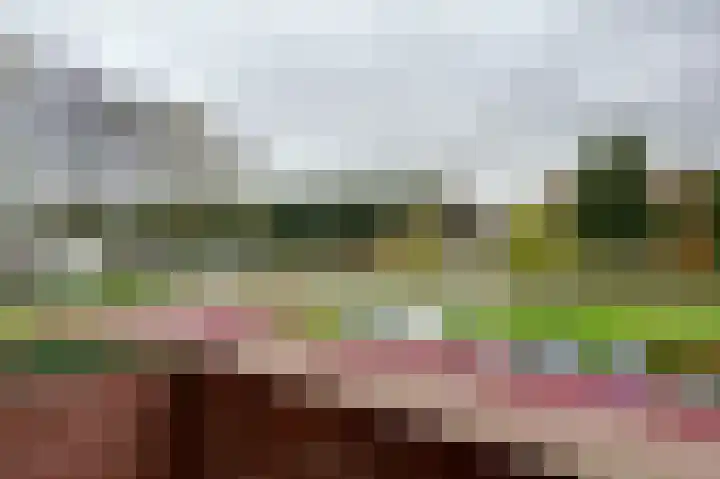 van Ruusbroeclaan 20 Hoogezand thumbnail 20
