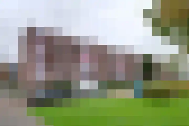 van Ruusbroeclaan 20 Hoogezand thumbnail 4