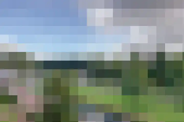 van Ruusbroeclaan 64 Hoogezand thumbnail 10