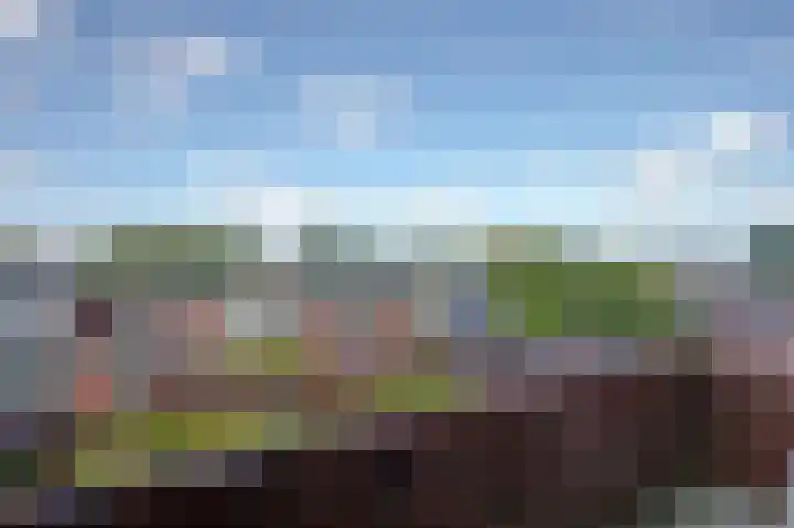 van Ruusbroeclaan 64 Hoogezand thumbnail 15