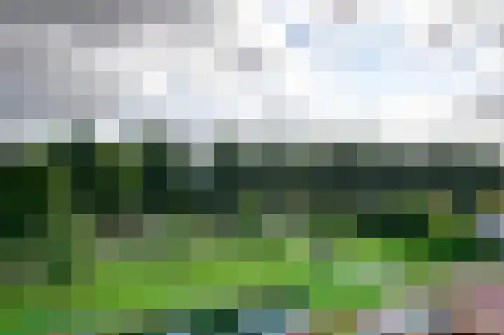 van Ruusbroeclaan 64 Hoogezand thumbnail 9