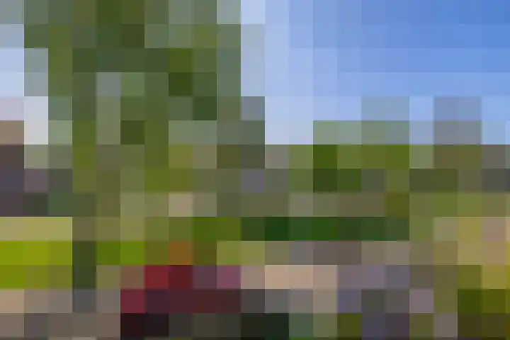 Van Ruusbroecstraat 18 Nuenen thumbnail 35