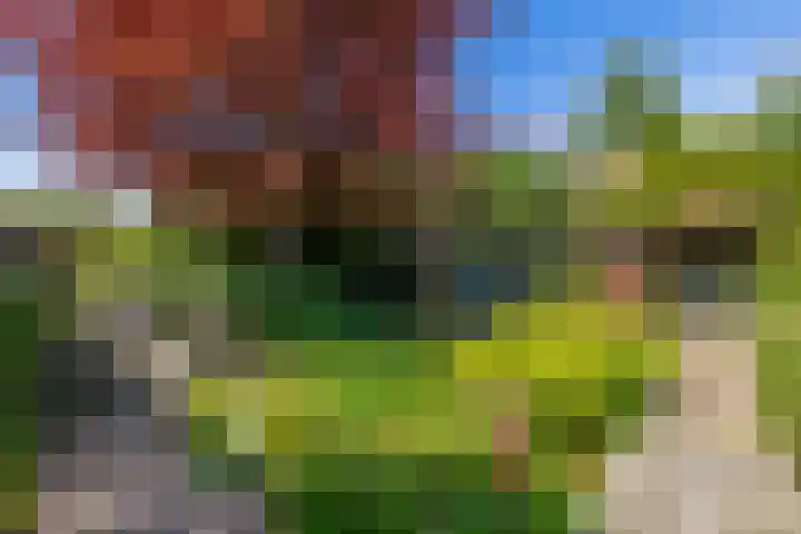 Van Ruusbroecstraat 18 Nuenen thumbnail 38