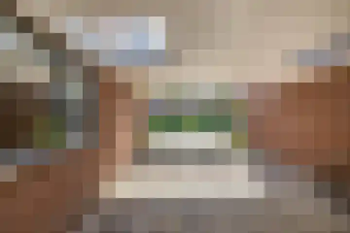 Van Ruusbroecstraat 18 Nuenen thumbnail 9