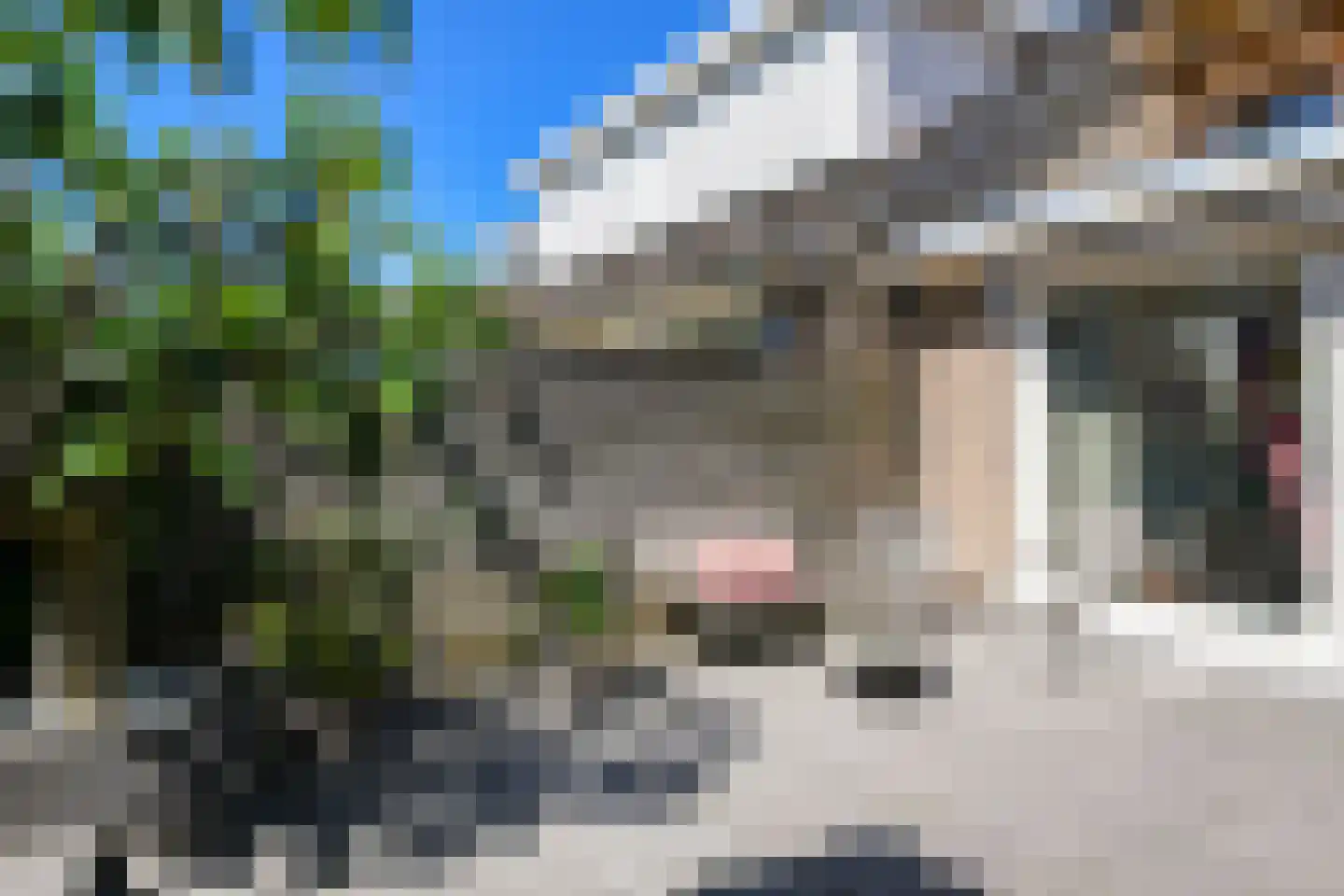 Van Ruusbroecstraat 21 Nuenen thumbnail 40