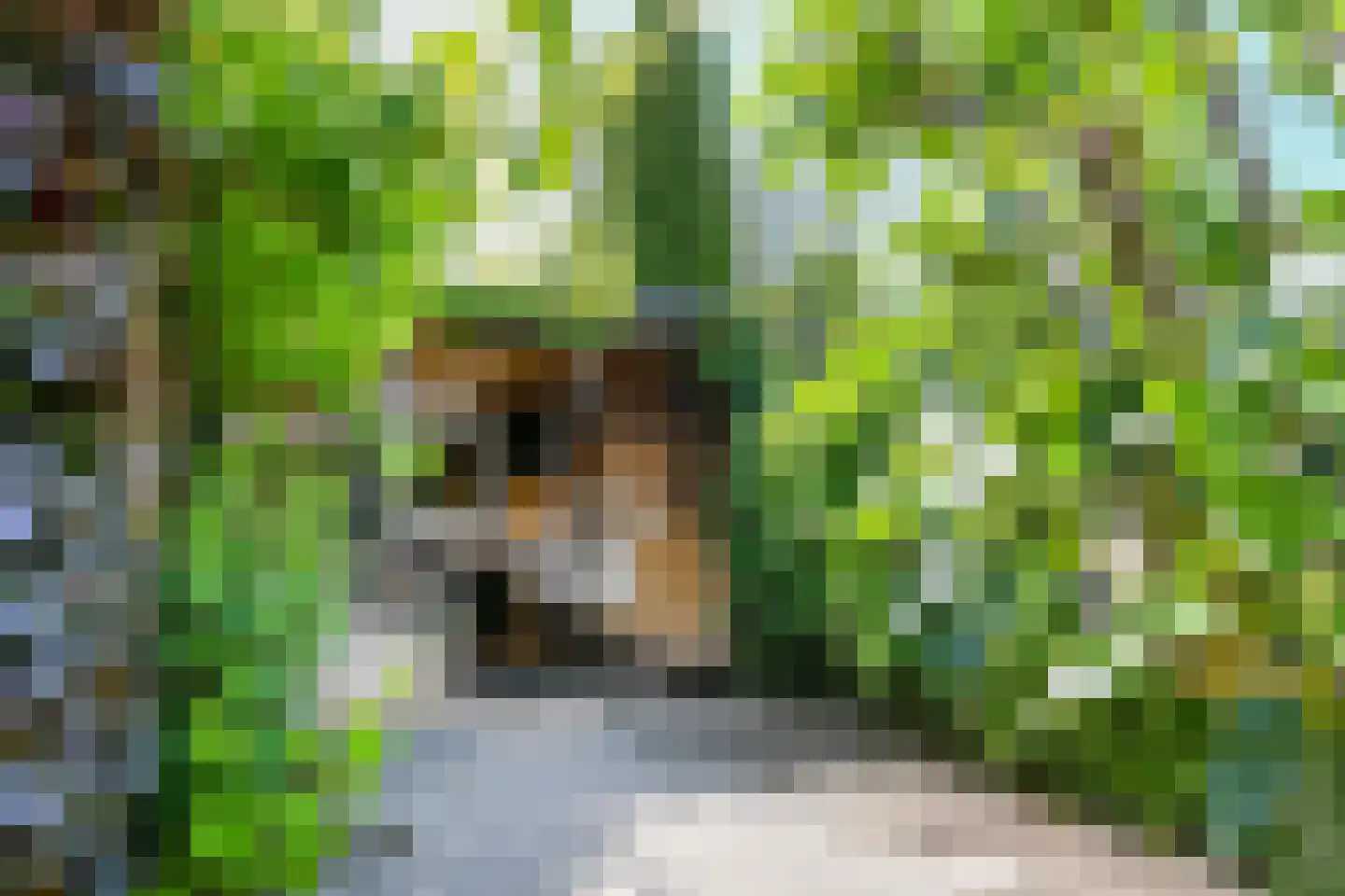 Van Ruusbroecstraat 21 Nuenen thumbnail 41