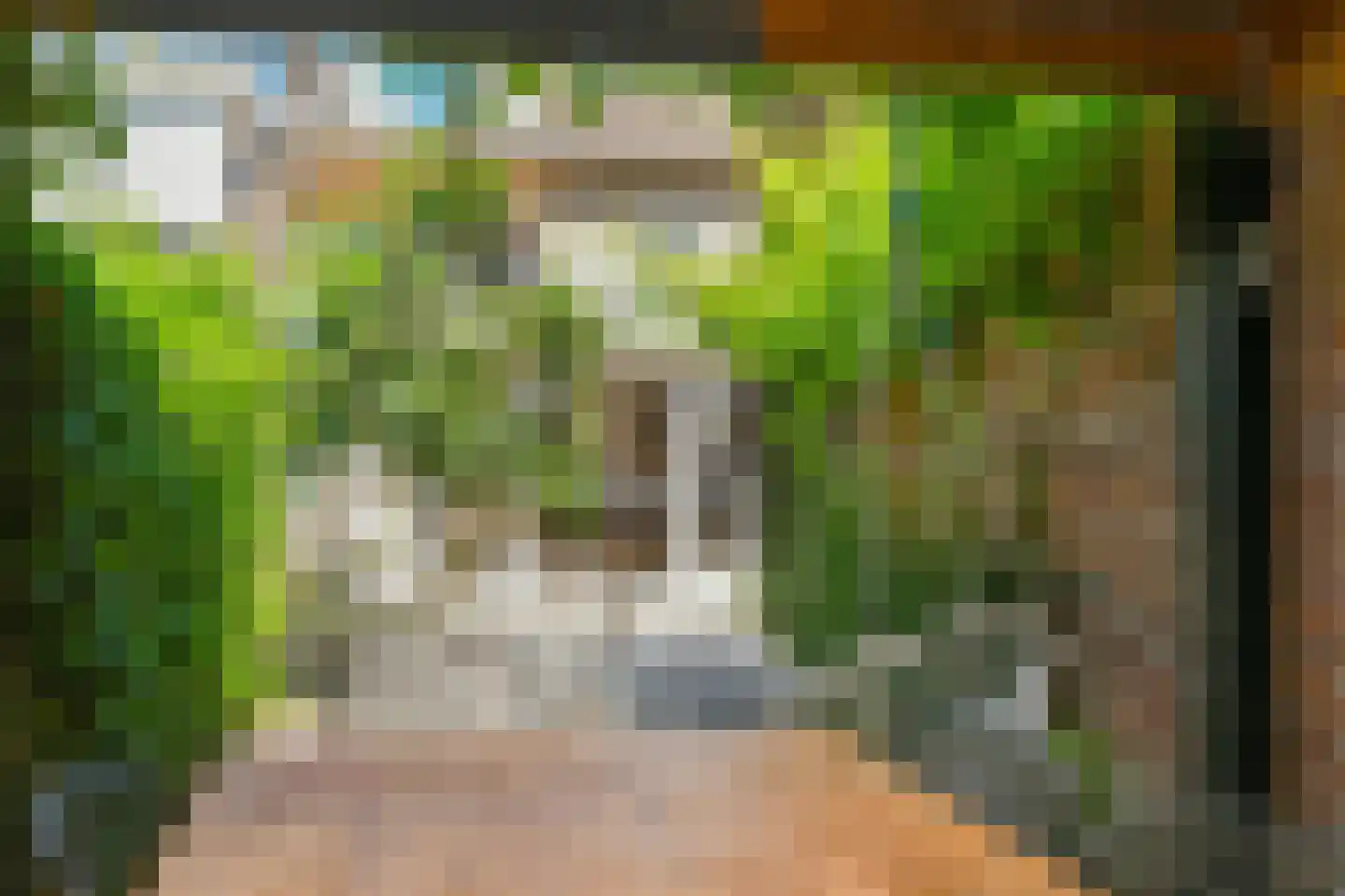 Van Ruusbroecstraat 21 Nuenen thumbnail 42