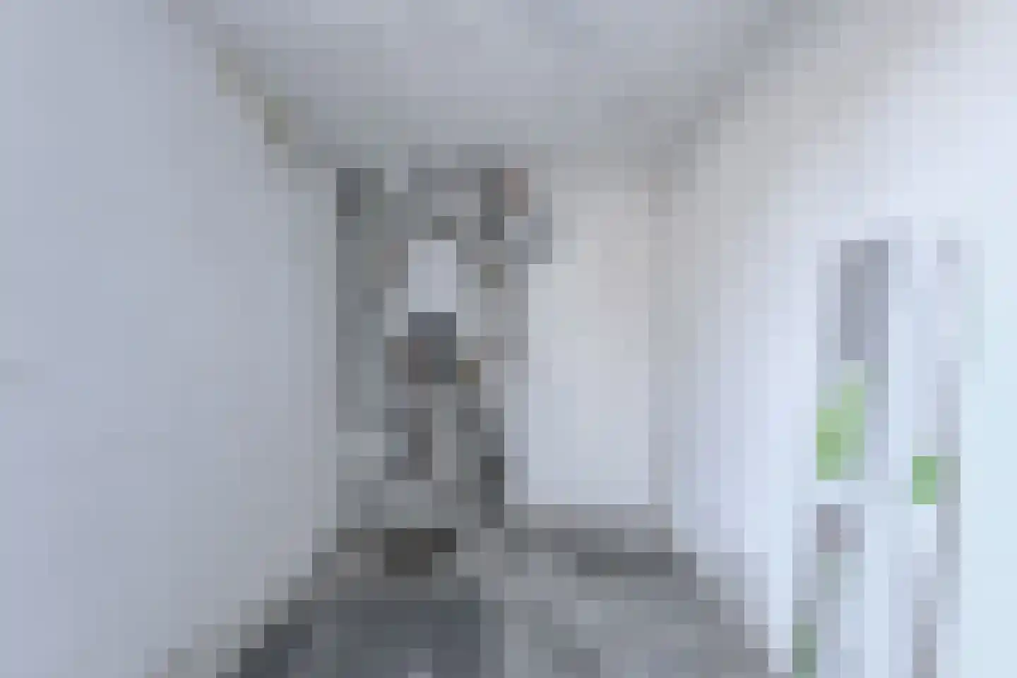 Van Ruusbroecstraat 28 Oosterhout thumbnail 33
