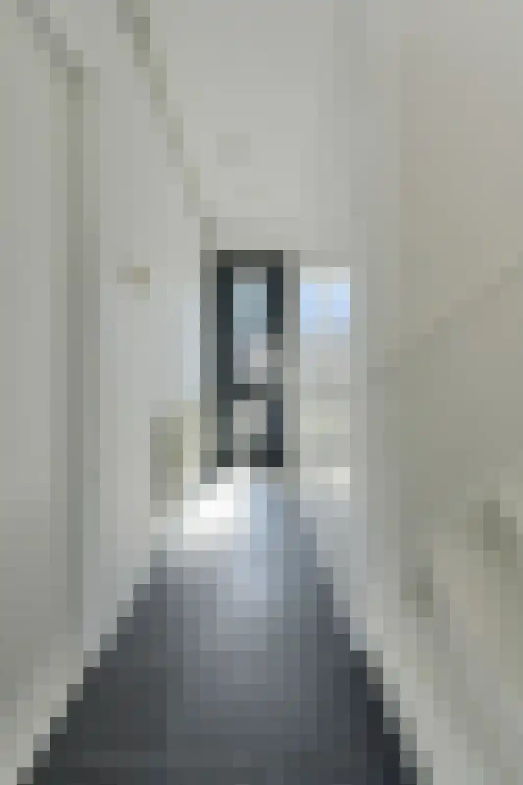 Van Ruusbroecstraat 28 Oosterhout thumbnail 6