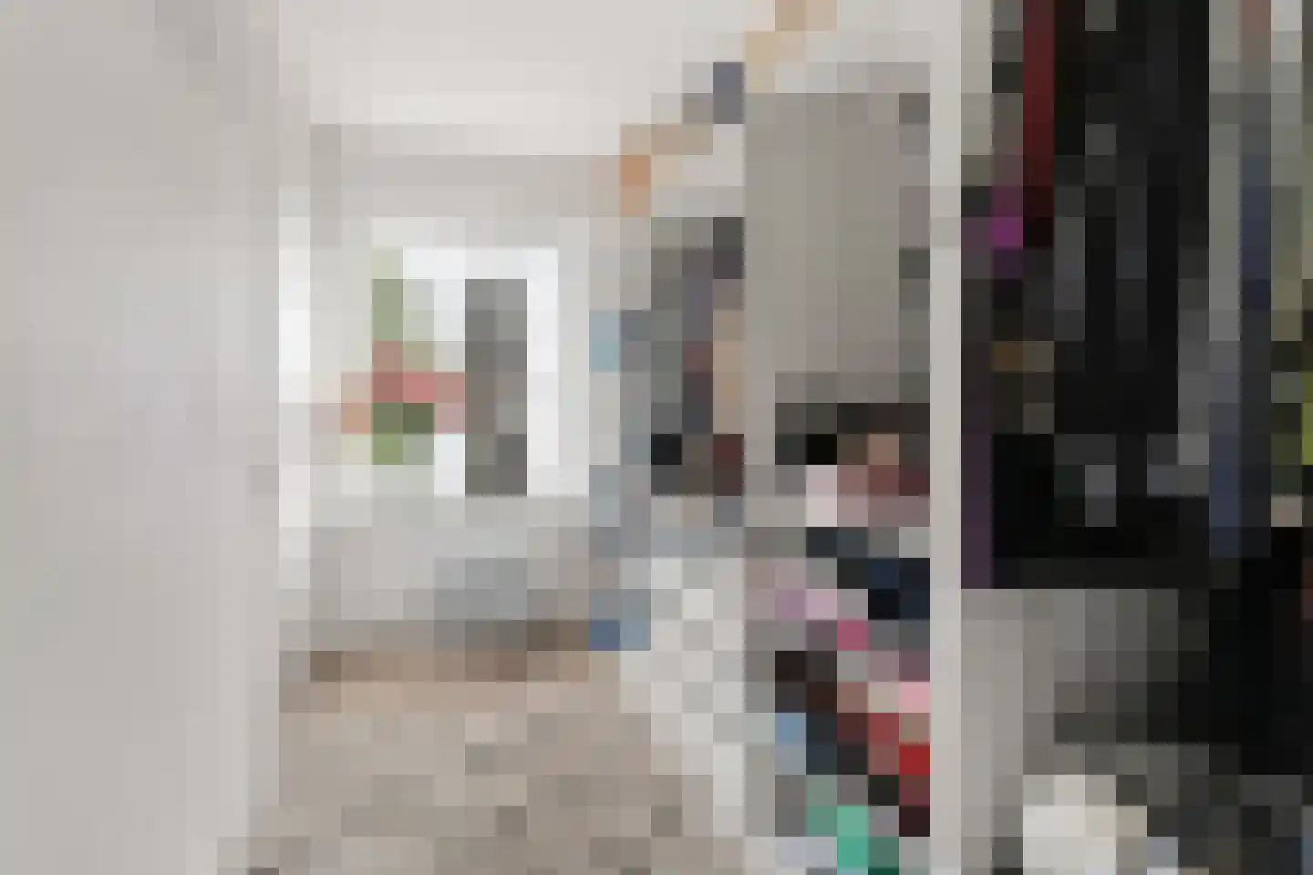 Van Ruusbroecstraat 91 's-Hertogenbosch thumbnail 21