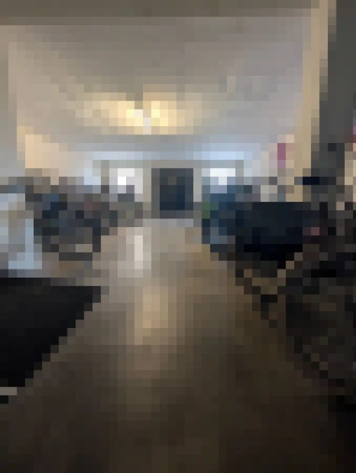 Van Ruusbroecstraat 91 's-Hertogenbosch thumbnail 32