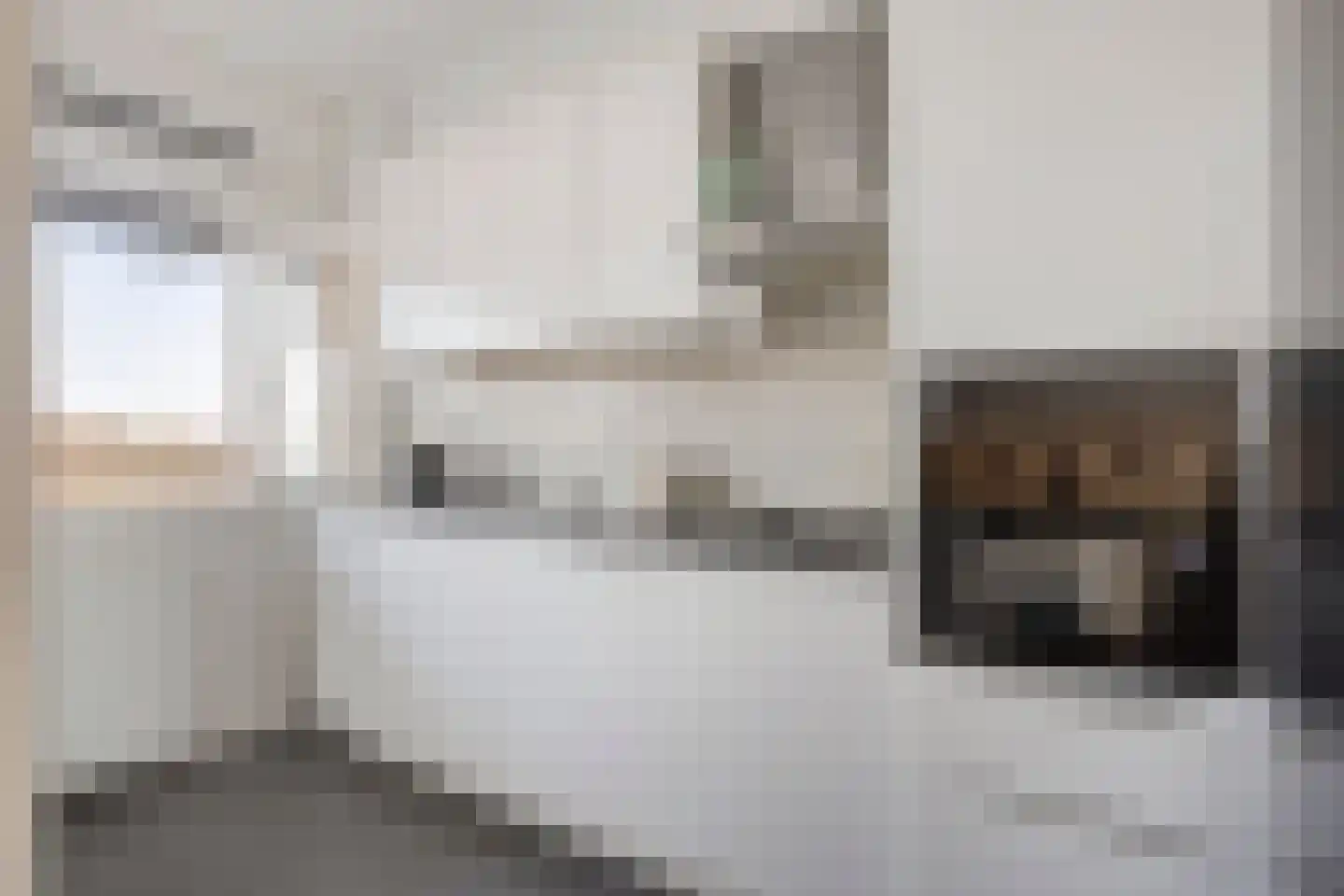 Van Ruusbroecstraat 97 's-Hertogenbosch thumbnail 12