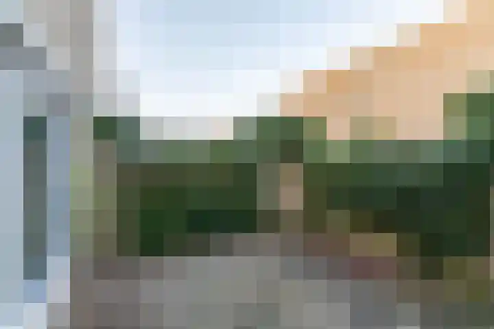 Van Ruusbroecweg 9 Haren Gn thumbnail 4