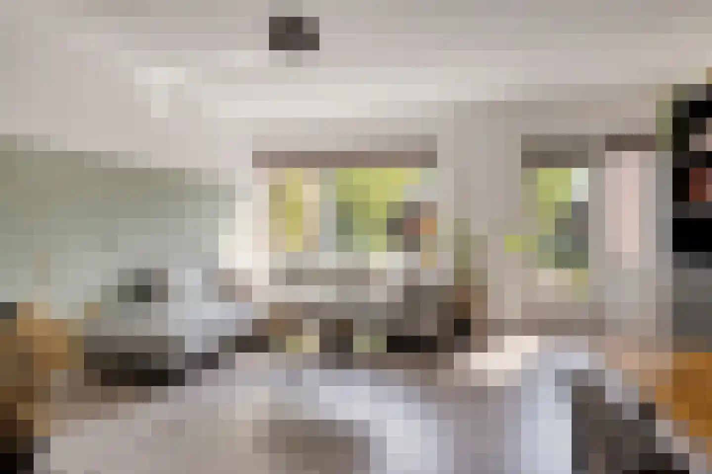 van Ruysdaelhof 54 Lichtenvoorde thumbnail 10