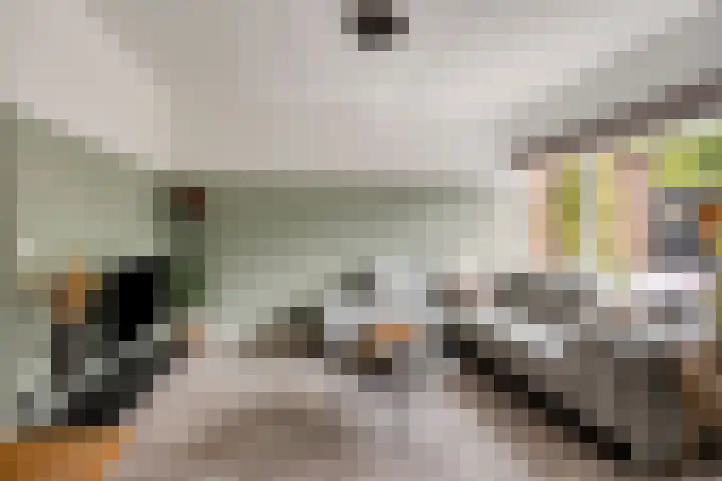 van Ruysdaelhof 54 Lichtenvoorde thumbnail 11