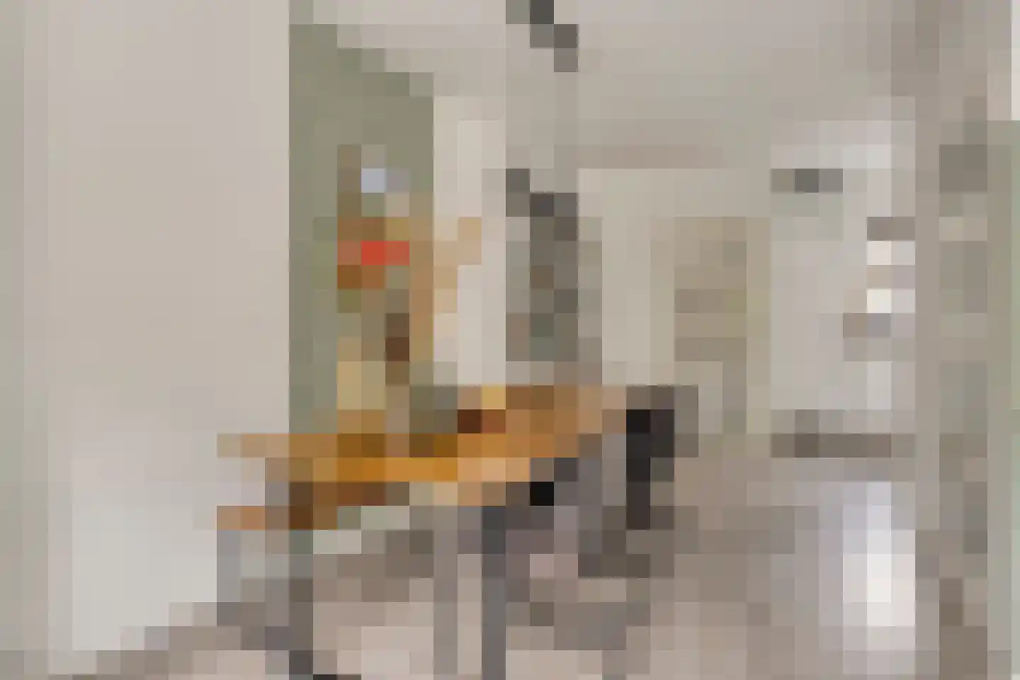 van Ruysdaelhof 54 Lichtenvoorde thumbnail 15
