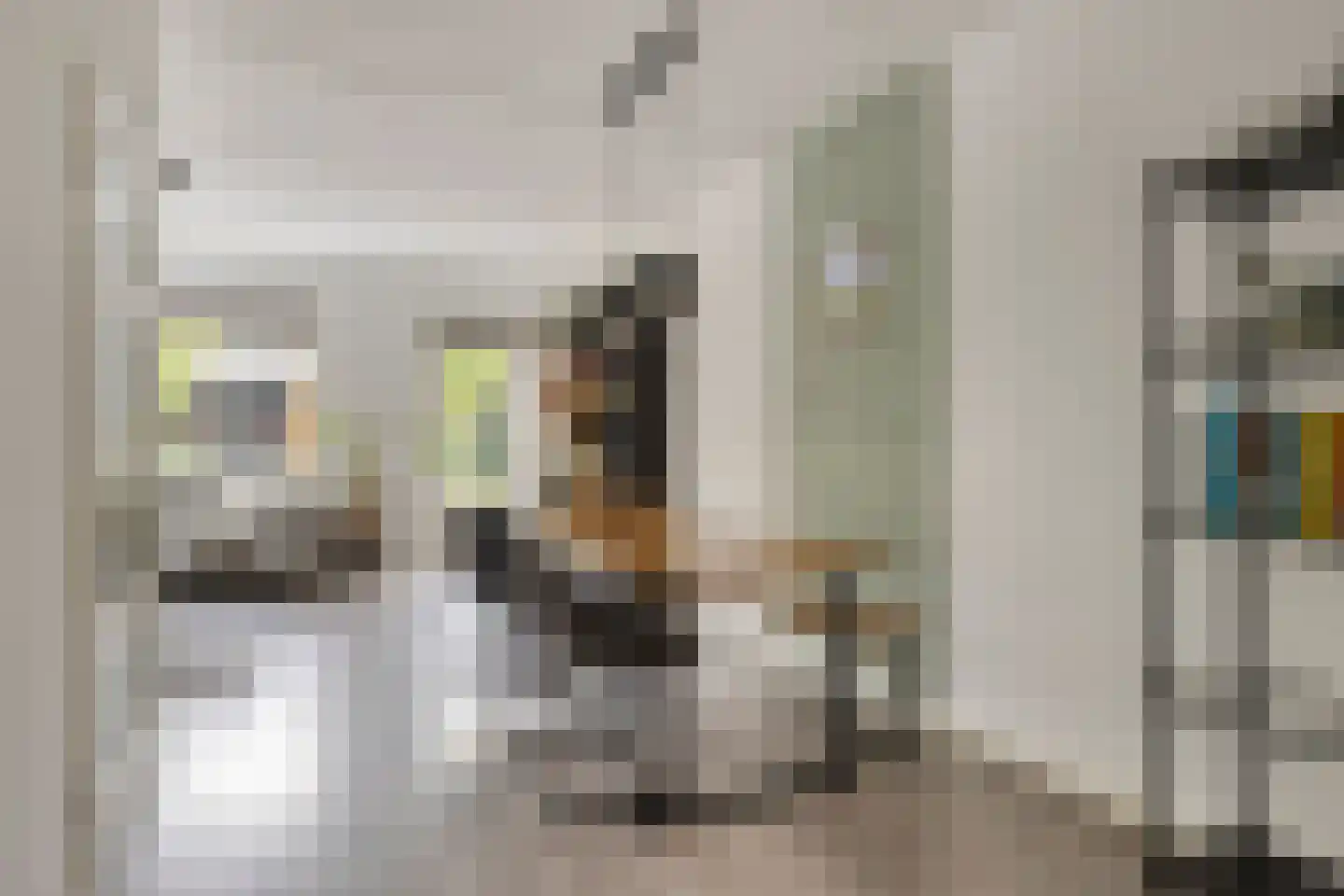 van Ruysdaelhof 54 Lichtenvoorde thumbnail 17