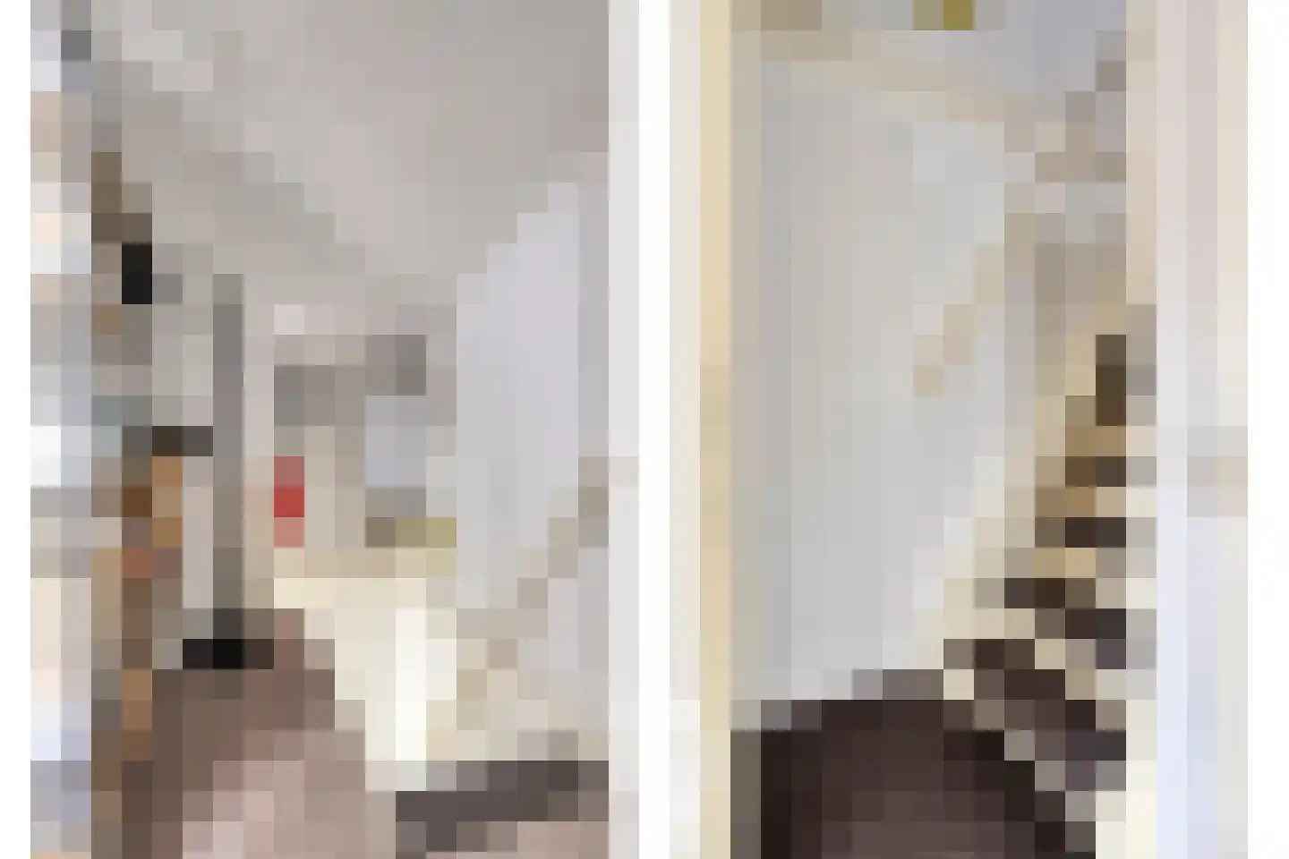 van Ruysdaelhof 54 Lichtenvoorde thumbnail 30