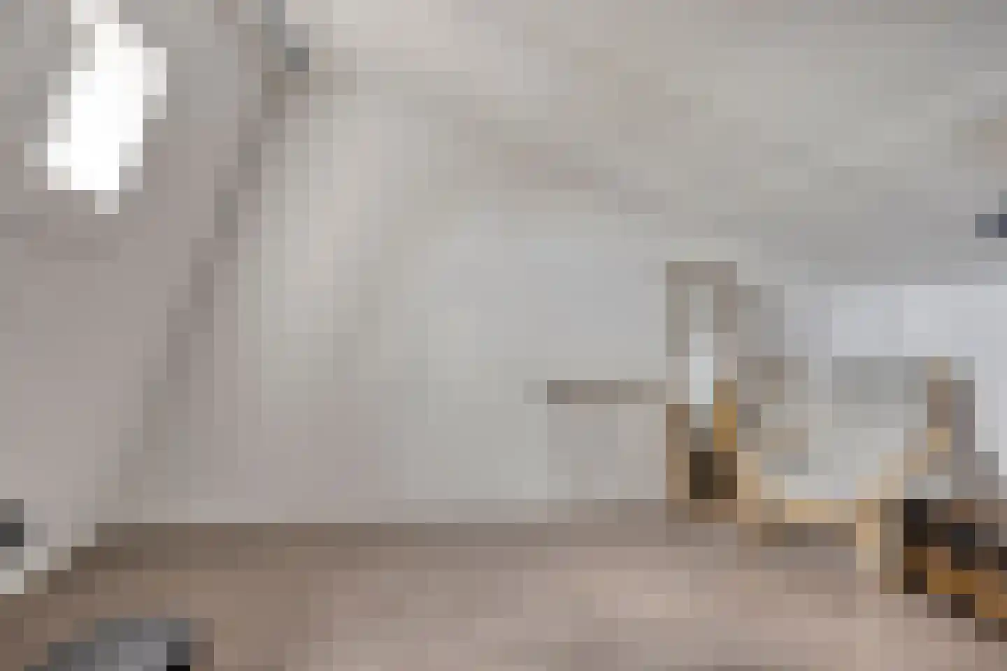 van Ruysdaelhof 54 Lichtenvoorde thumbnail 31