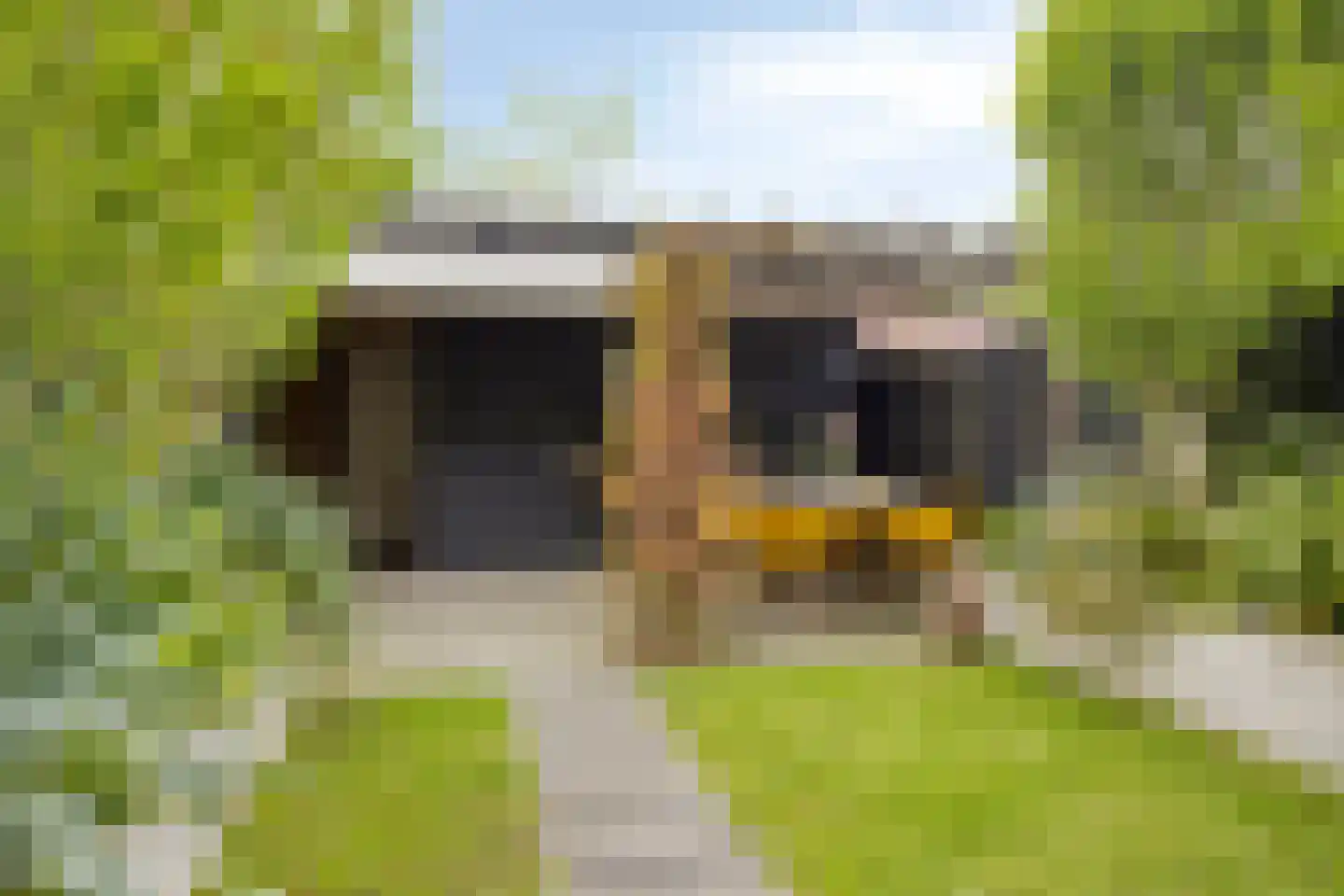van Ruysdaelhof 54 Lichtenvoorde thumbnail 34