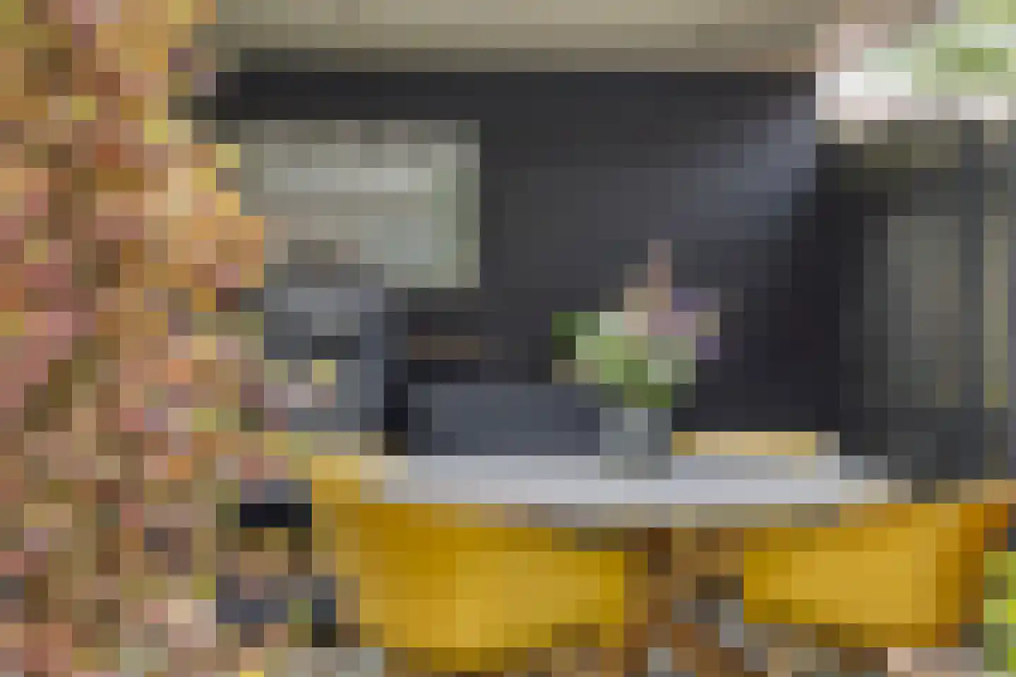 van Ruysdaelhof 54 Lichtenvoorde thumbnail 35