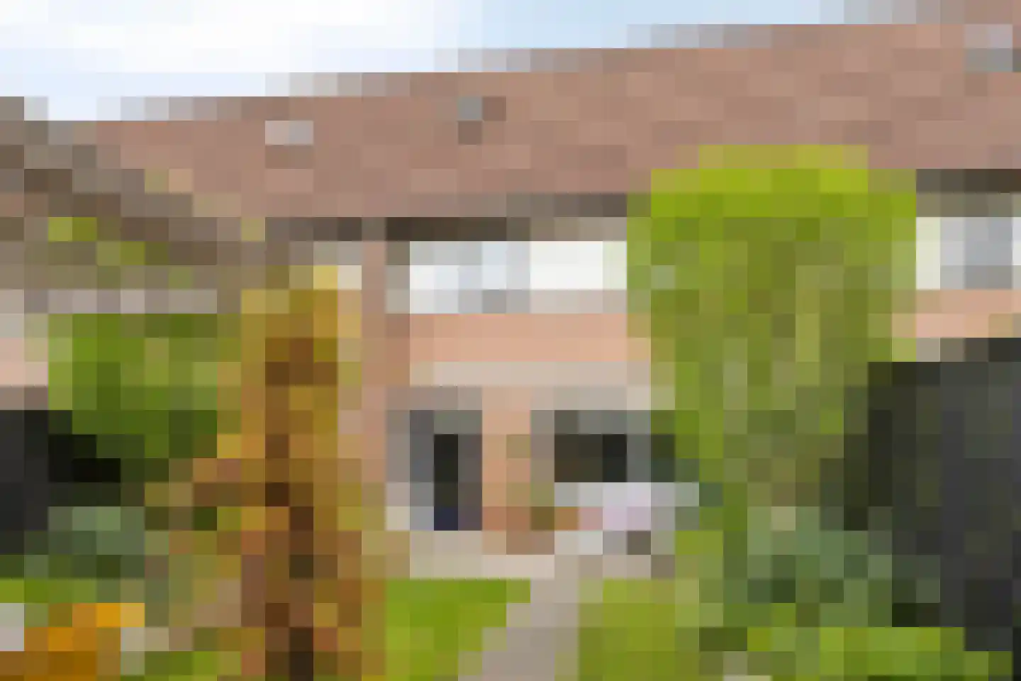 van Ruysdaelhof 54 Lichtenvoorde thumbnail 37