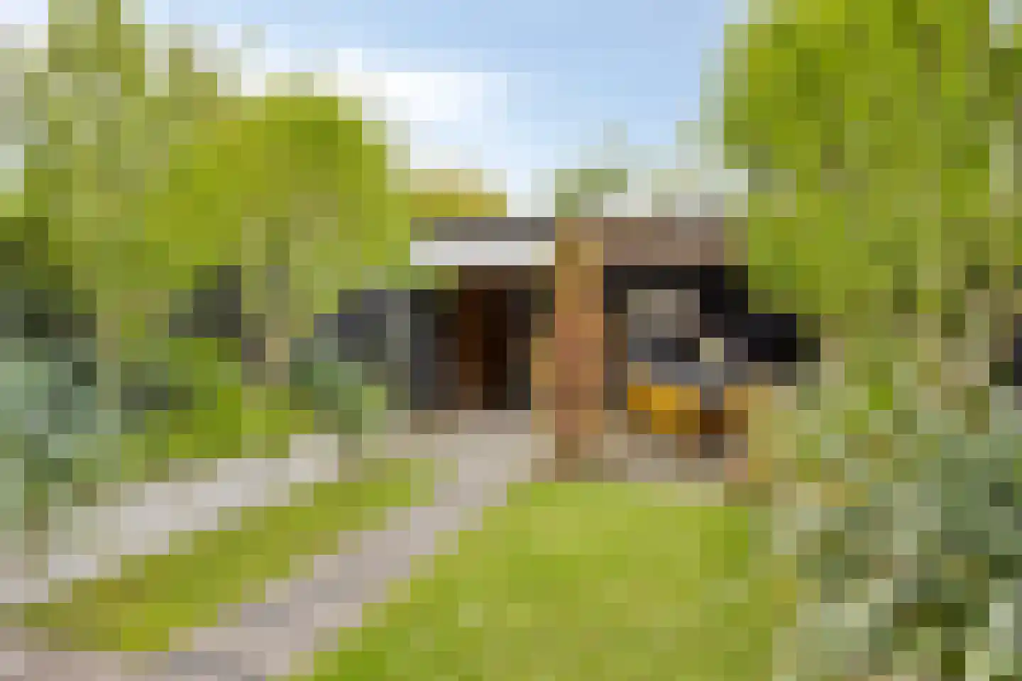 van Ruysdaelhof 54 Lichtenvoorde thumbnail 4