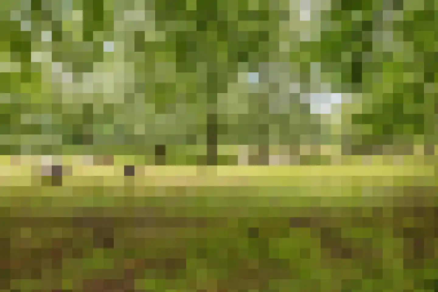 van Ruysdaelhof 54 Lichtenvoorde thumbnail 41
