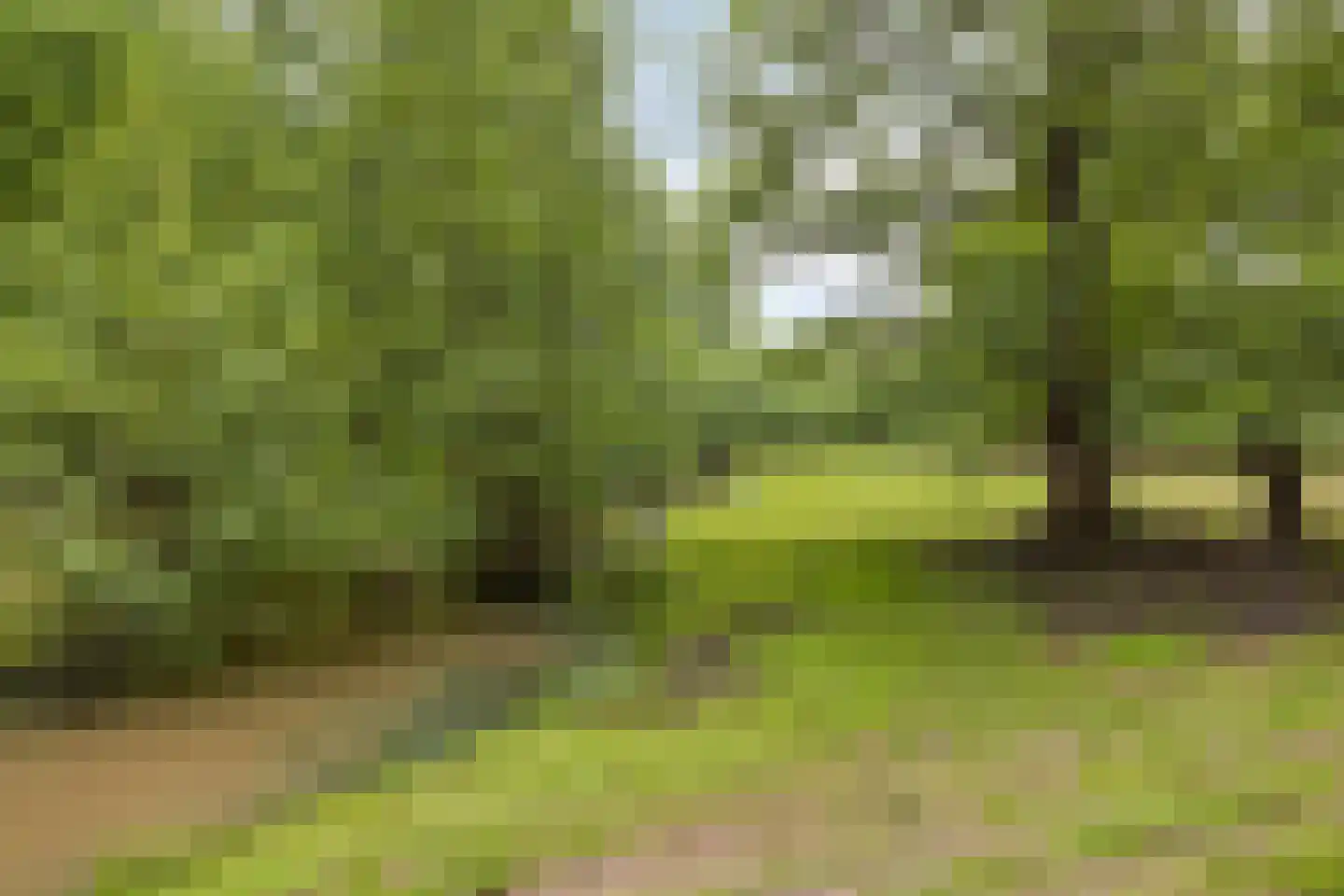 van Ruysdaelhof 54 Lichtenvoorde thumbnail 42