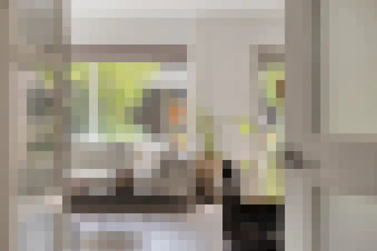van Ruysdaelhof 54 Lichtenvoorde thumbnail 9
