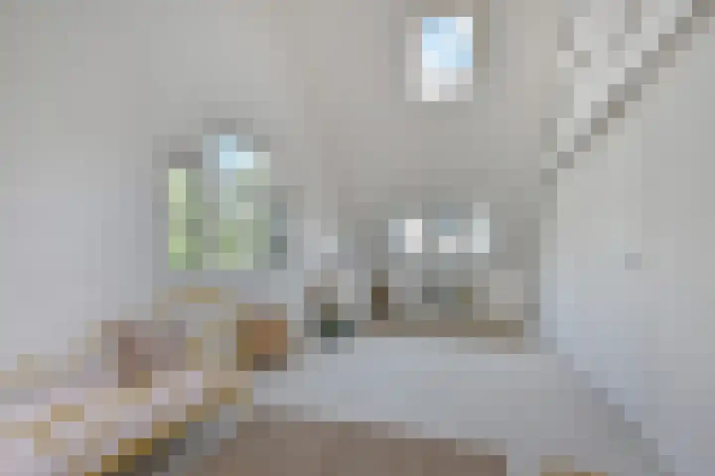 van Ruysdaellaan 1 Leidschendam thumbnail 30