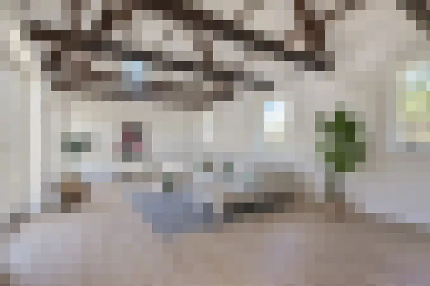 van Ruysdaellaan 1 Leidschendam thumbnail 6