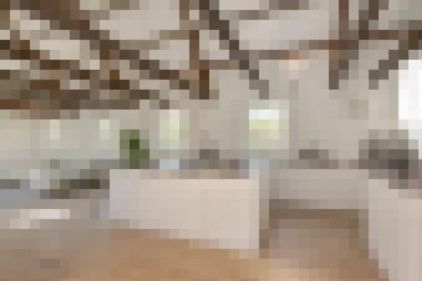 van Ruysdaellaan 1 Leidschendam thumbnail 9