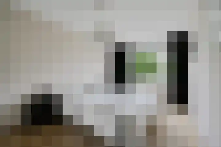 van Ruysdaellaan 113 Leidschendam thumbnail 23