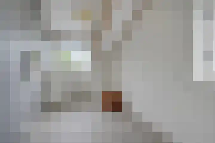 van Ruysdaellaan 113 Leidschendam thumbnail 33
