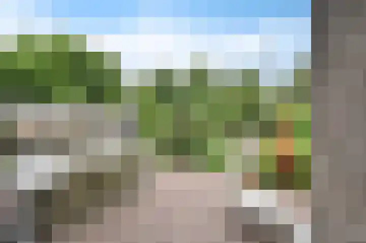 van Ruysdaellaan 113 Leidschendam thumbnail 38
