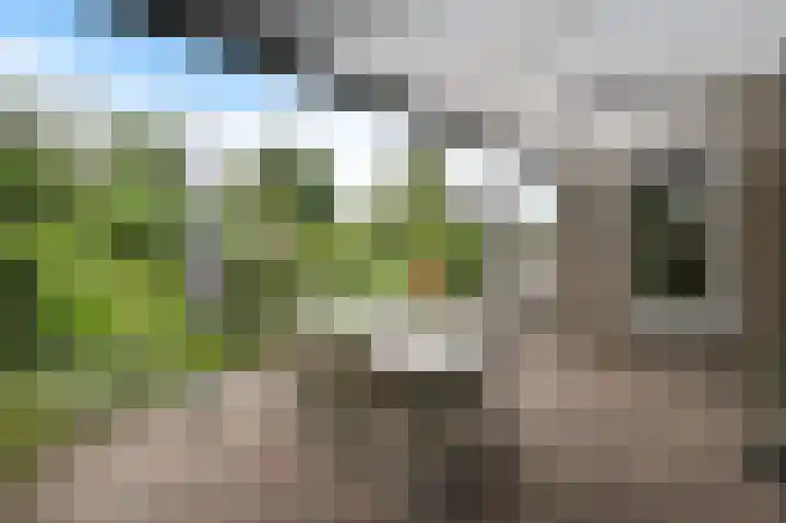 van Ruysdaellaan 113 Leidschendam thumbnail 43