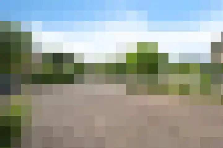 van Ruysdaellaan 113 Leidschendam thumbnail 7
